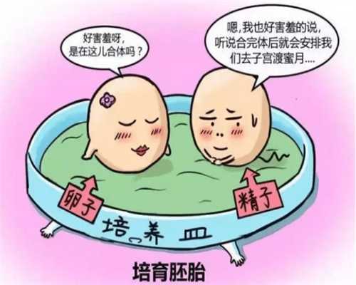 台州供卵哪里有（台湾供卵试管合法吗）