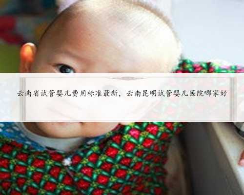 云南省试管婴儿费用标准最新，云南昆明试管婴儿医院哪家好