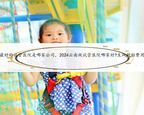 云南省最好的试管医院是哪家公司，2024云南做试管医院哪家好?生双胞胎费用多