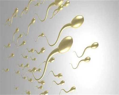 海南专业助孕价格与供卵医院选择指南