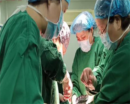 无子宫女性如何通过试管婴儿技术实现生育梦想