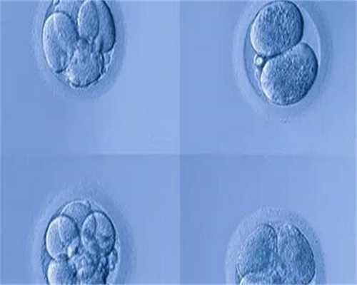 人造子宫与试管婴儿技术区别解析,附试管生儿子包成功及费用详情