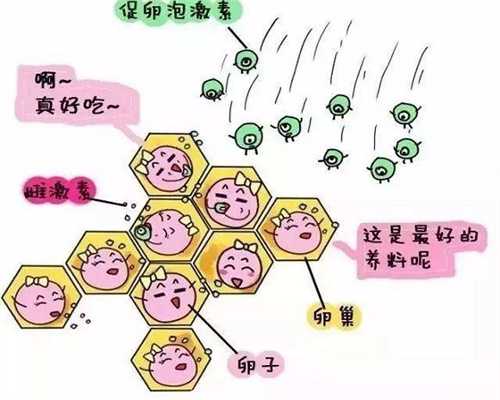 合肥助孕机构选择指南：最新推荐名单与专业建议