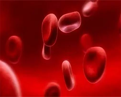 抗精子抗体详解：igg与igm区别及助孕影响