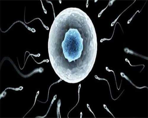 供卵试管助孕包男孩费用明细与代生机构选择指南