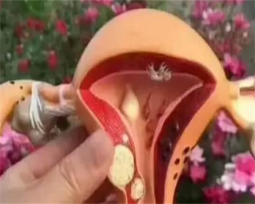 36岁借卵试管助孕包男孩代生机构选择与费用解析