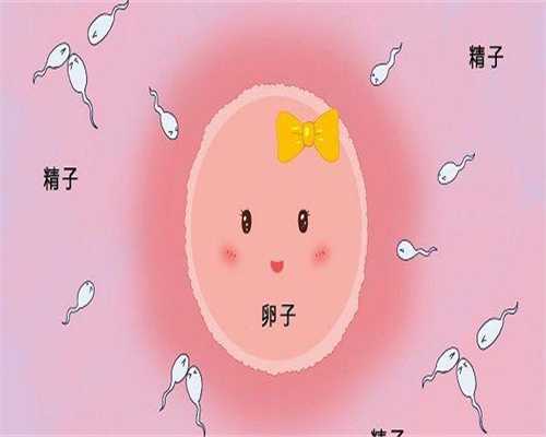 试管婴儿过程是否需要输卵管参与