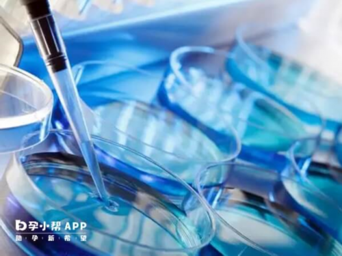 北京赴日试管婴儿助孕指南：专业选择与流程详解