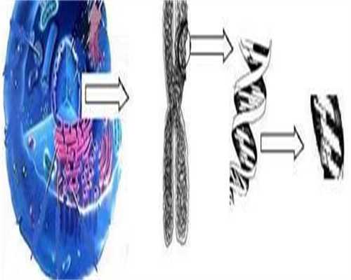 月经周期计算方法与影响因素解析