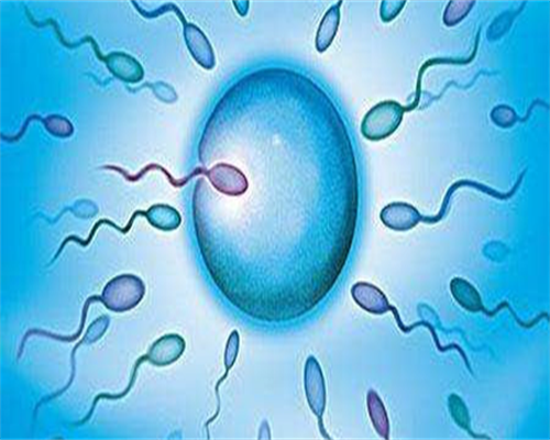 40岁供精供卵预算10万，寻求无需排队的私人供卵医院指南