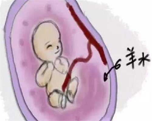 阳江子宫切除后试管婴儿费用解析，20万预算是否足够？