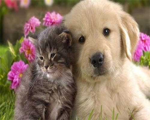 内蒙古供卵政策解析与辅助生殖指南