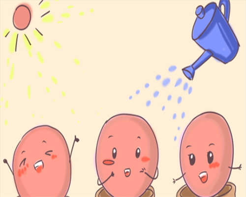 不孕不育通过试管婴儿技术能否成功受孕