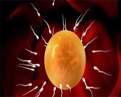 试管婴儿与输卵管结扎：选择结扎还是切除更优？