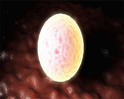 北京代生机构成功率解析及靠谱选择指南